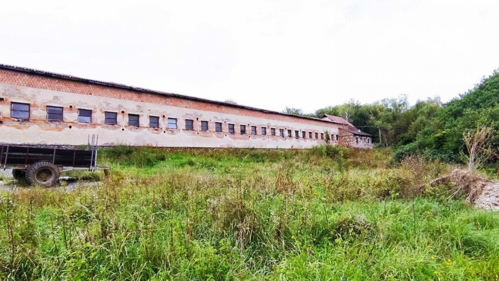 Farmári zbystrite pozornosť kravín na predaj v obci Tuhár