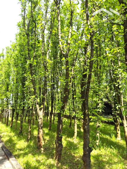 Záhradka so závlahou a murovanou chatkou na Vinici
