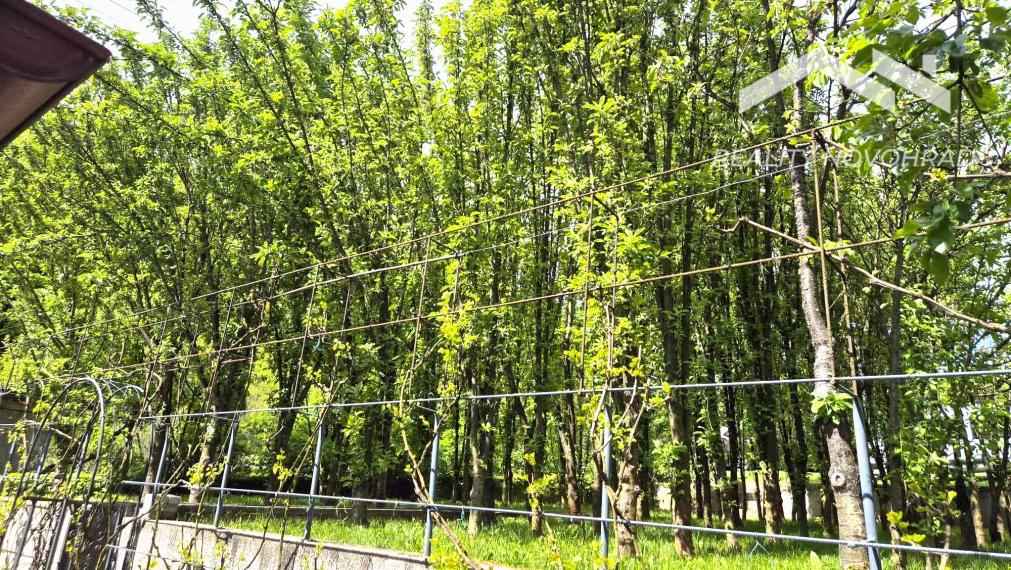 Záhradka so závlahou a murovanou chatkou na Vinici