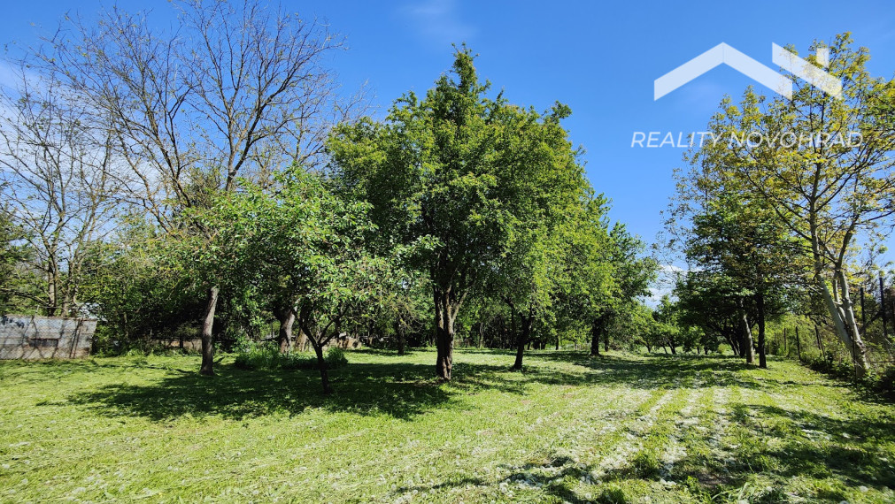 Vinica: Rozprávková záhrada s rekreačnou chatou a potenciálom celoročného bývania.