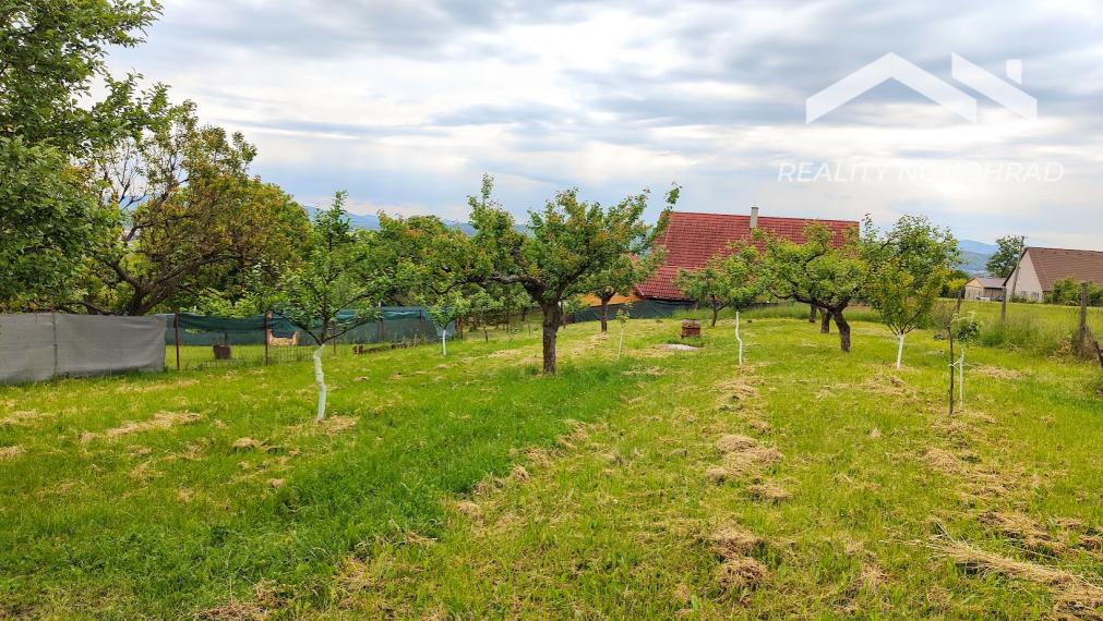 Súkromný raj na Vinici: Rozľahlá slnečná záhrada s chatkou a rodinným sadom – váš pokojný únik!