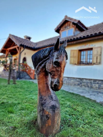 Vidiecka usadlosť Breznička – 2,3 ha areál s bazénom, stajňou a potenciálom pre agroturistický projekt.