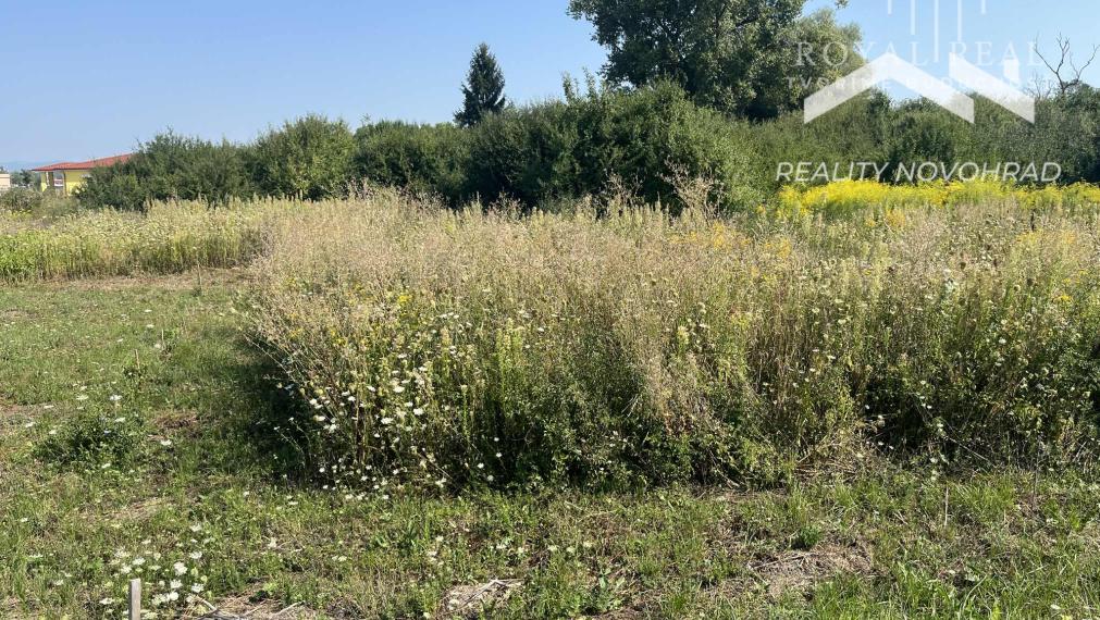 RAPOVCE okr. LUČENEC-  rekreačný pozemok 201 m2 s investičným POTENCIÁLOM