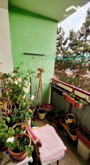 2-izbový byt s lodžiou v obľúbenej lokalite Rúbanisko II