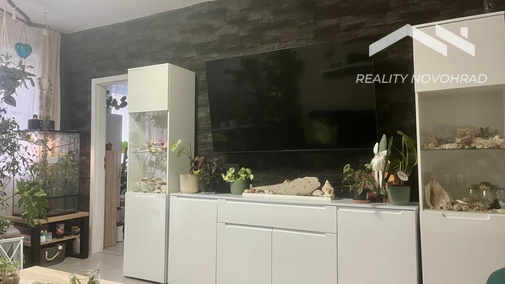 Ranná káva na lódžii a večer pri praskajúcom dreve: Váš nový domov na Wolkrovej