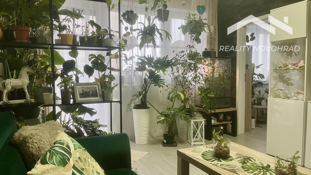 Ranná káva na lódžii a večer pri praskajúcom dreve: Váš nový domov na Wolkrovej