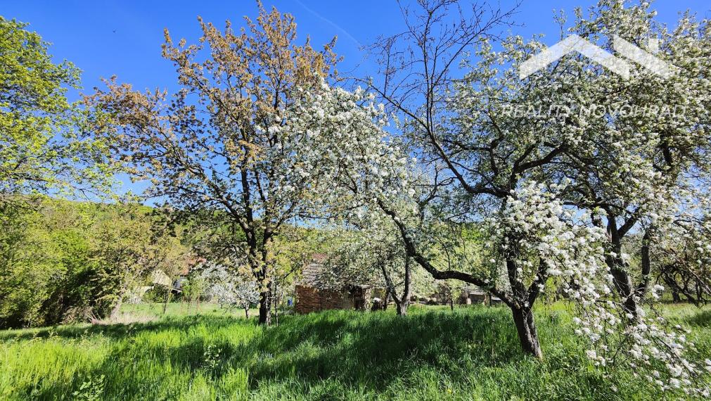 Vidiecky dom s čarom prírody a slnečným pozemkom v Slanej Lehote