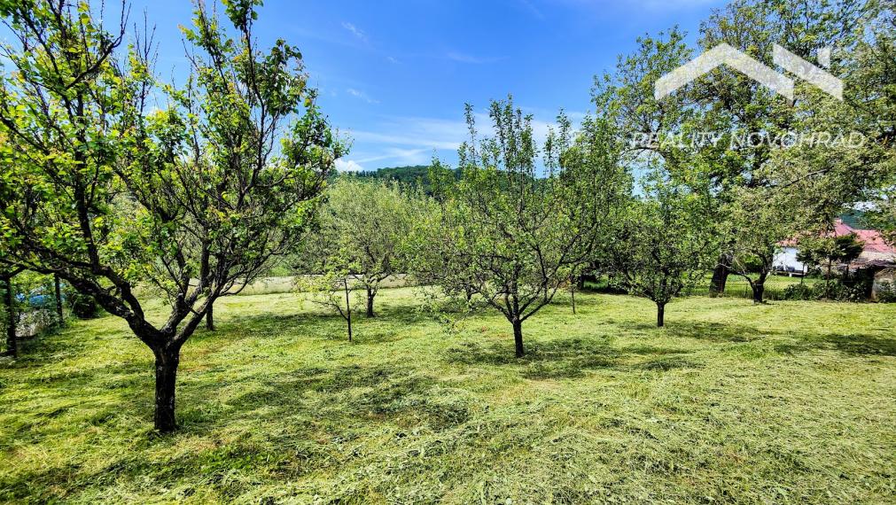 Priestranný rodinný dom s veľkým pozemkom a jedinečnou históriou – Lovinobaňa