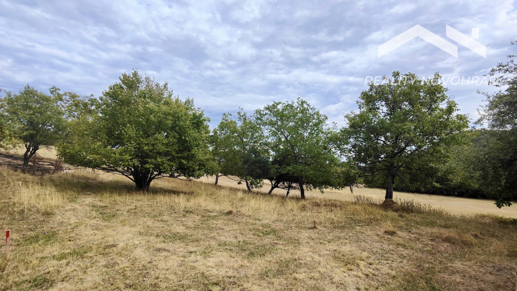🏡Život na polosamote - Dom a 2,1 ha pozemku - Opava okr.V.Krtíš
