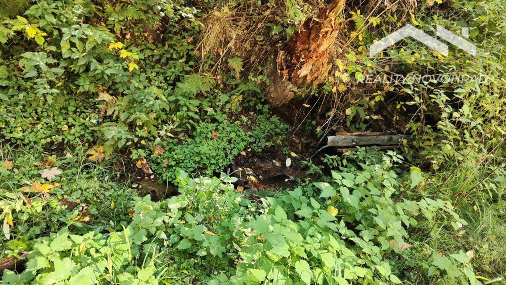 Rekreačná chata pri potôčiku a lyžiarskom vleku – Kokava Háj