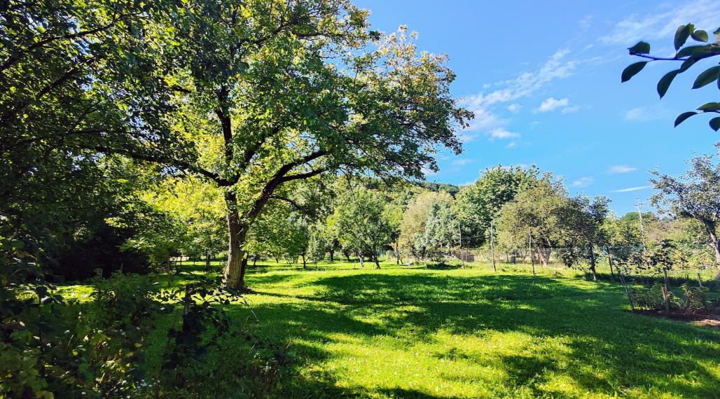 Horná Strehová: Predaj slnečnej záhrady s ovocným sadom