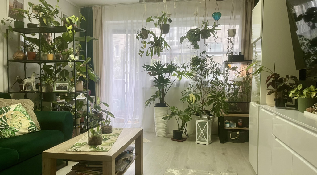 Ranná káva na lódžii a večer pri praskajúcom dreve: Váš nový domov na Wolkrovej