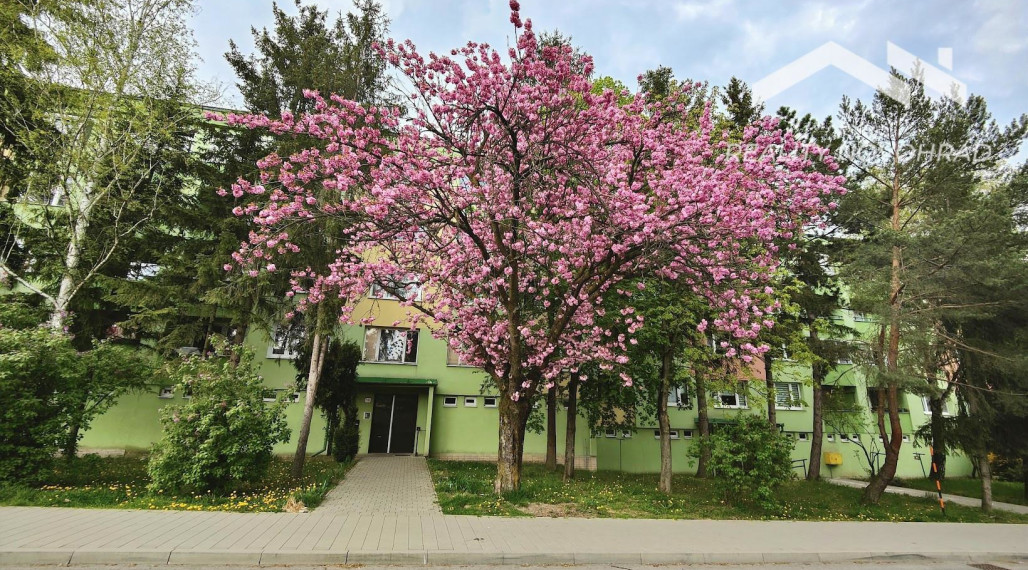 VEĽKORYSÝ 3-IZBOVÝ BYT V SRDCI MESTA – ZELEŇ, LOGGIA A POHODLNÉ BÝVANIE S VÝŤAHOM