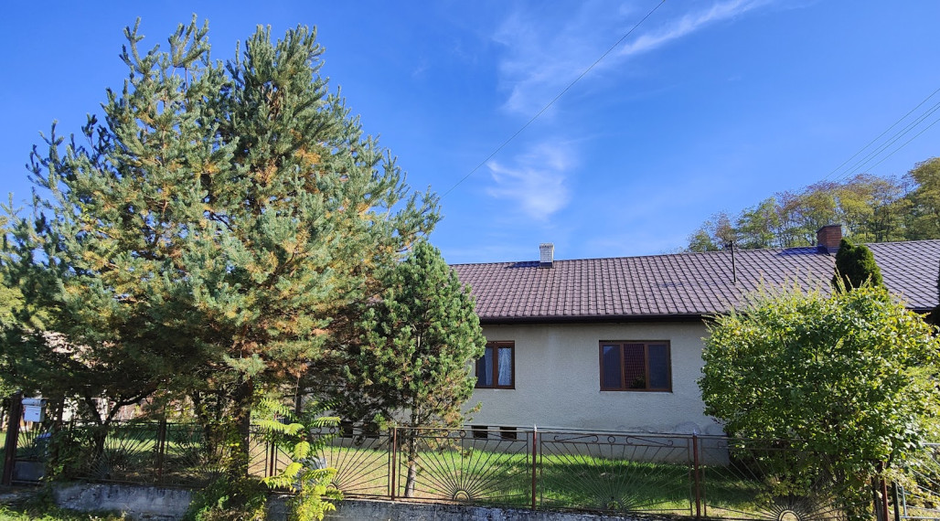 Pokojné bývanie pri agátovom lese – dom s rozľahlým pozemkom - Radzovce pri Obručnej