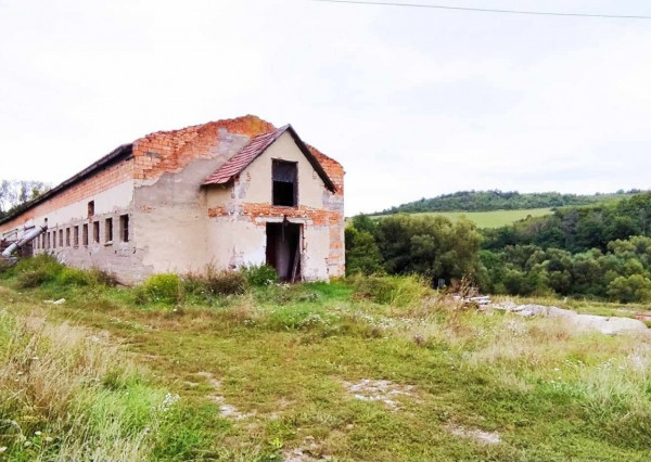 Farmári zbystrite pozornosť kravín na predaj v obci Tuhár