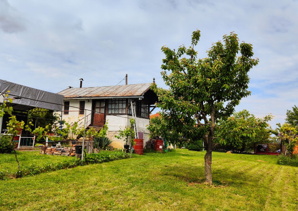 Súkromný raj na Vinici: Rozľahlá slnečná záhrada s chatkou a rodinným sadom – váš pokojný únik!