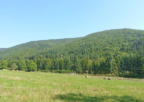 Váš kúsok raja v srdci prírody – Horný Tisovník