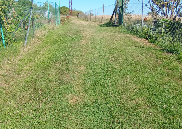 Záhrada za skvelú cenu Poltár za Sklárňou