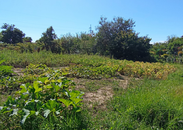 Záhrada za skvelú cenu Poltár za Sklárňou