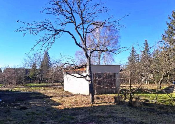 PLEŠ -domček s OVOCNÝM SADOM 2049 m2 a nekonečným potenciálom