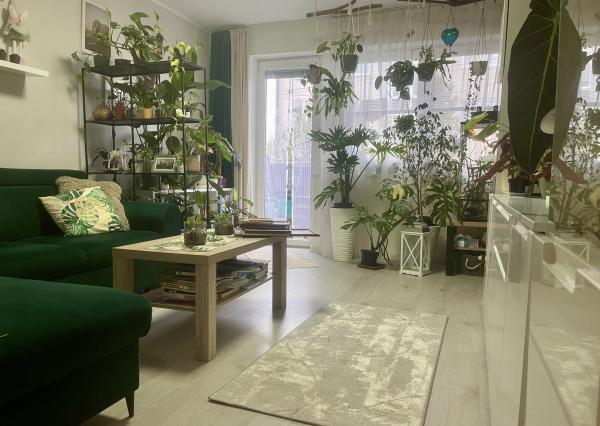 Ranná káva na lódžii a večer pri praskajúcom dreve: Váš nový domov na Wolkrovej