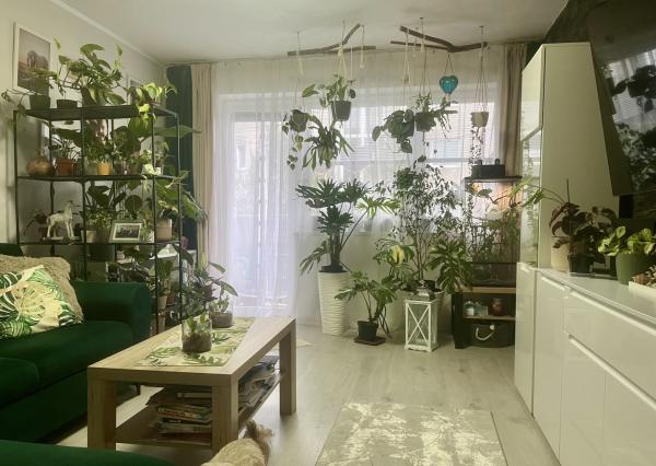 Ranná káva na lódžii a večer pri praskajúcom dreve: Váš nový domov na Wolkrovej