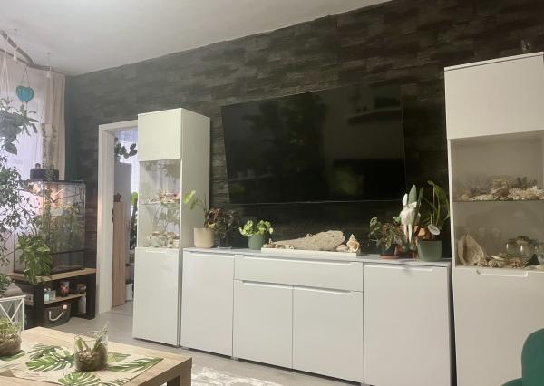 Ranná káva na lódžii a večer pri praskajúcom dreve: Váš nový domov na Wolkrovej