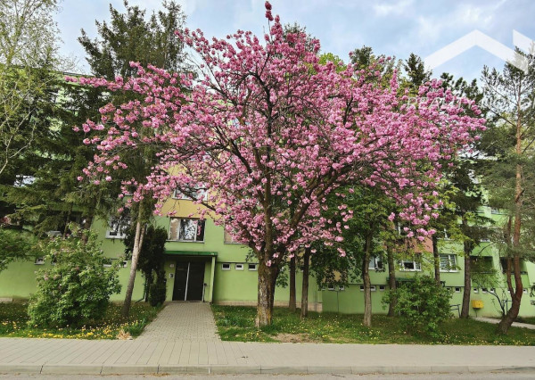 VEĽKORYSÝ 3-IZBOVÝ BYT V SRDCI MESTA – ZELEŇ, LOGGIA A POHODLNÉ BÝVANIE S VÝŤAHOM