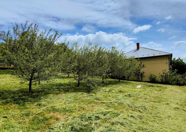 MIMORIADNA ZĽAVA 20 000 €! Dom s charakterom a rozľahlým pozemkom v centre Lovinobane
