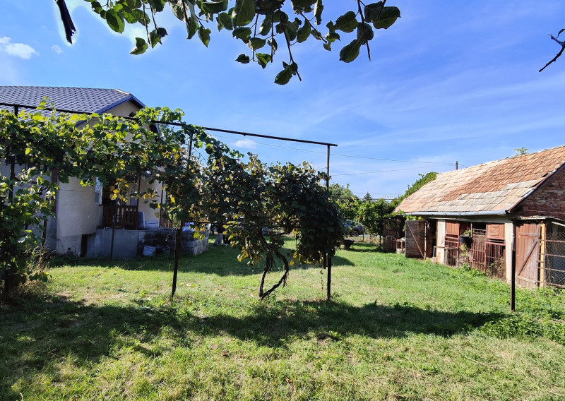 Pokojné bývanie pri agátovom lese – dom s rozľahlým pozemkom - Radzovce pri Obručnej - fotografia 3